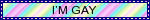 A static rainbow banner with thin black text in the centre that reads in caps: I'm gay.